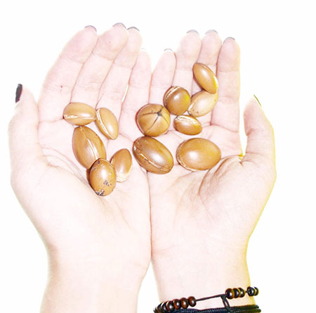 روغن آرگان,خواص روغن آرگان,فواید روغن آرگان
