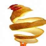 حیوانات چندش آور در عین حال خوشمزه+عکس