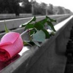 کاهش اضطراب اجتماعی با محبت کردن