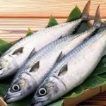 ۱۰ دلیل خوب برای خوردن ماهی