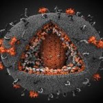 چرا زنان بیشتر در معرض بیماری HIV هستند؟