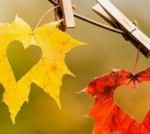 چرا در فصل پاییز میل جنسی افزایش می یابد؟