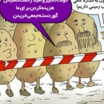 کاریکاتور: عکس نوشته از دفن ۱۷۰۰ تن سیب زمینی