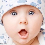 تصاویری بسیار جالب از زایمان عقرب!!