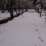 بارش یک متر برف در الیگودرز