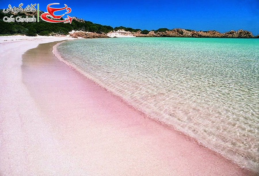 CafeGardesh_09_Spiaggia_Rosa_of_Budelli__Sardinia_____Italy01