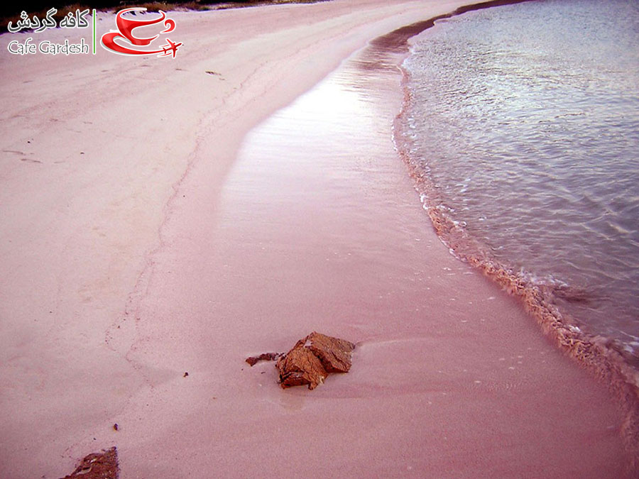 CafeGardesh_09_Spiaggia_Rosa_of_Budelli__Sardinia_____Italy02