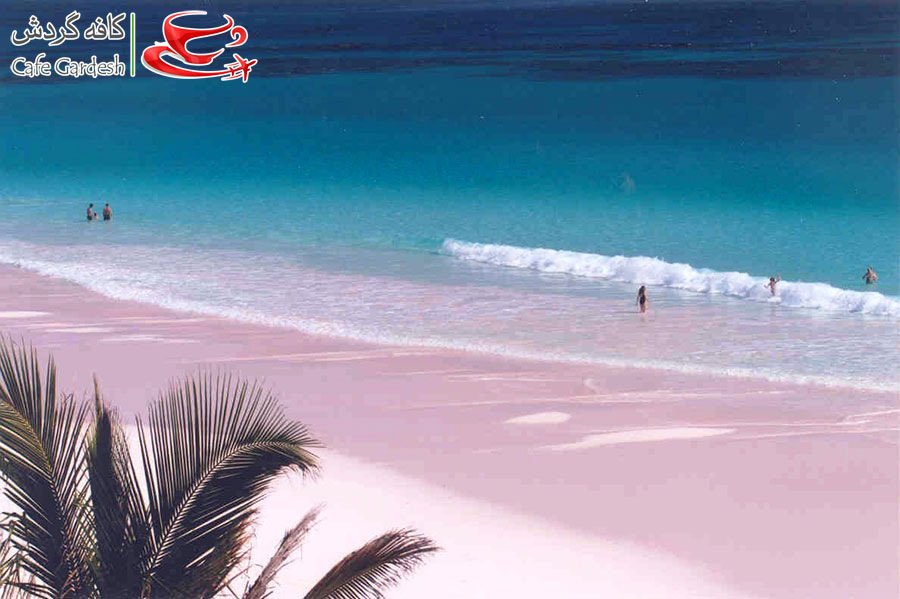 CafeGardesh_05_Pink_Beaches_of_Barbuda_____Caribbean_Sea01