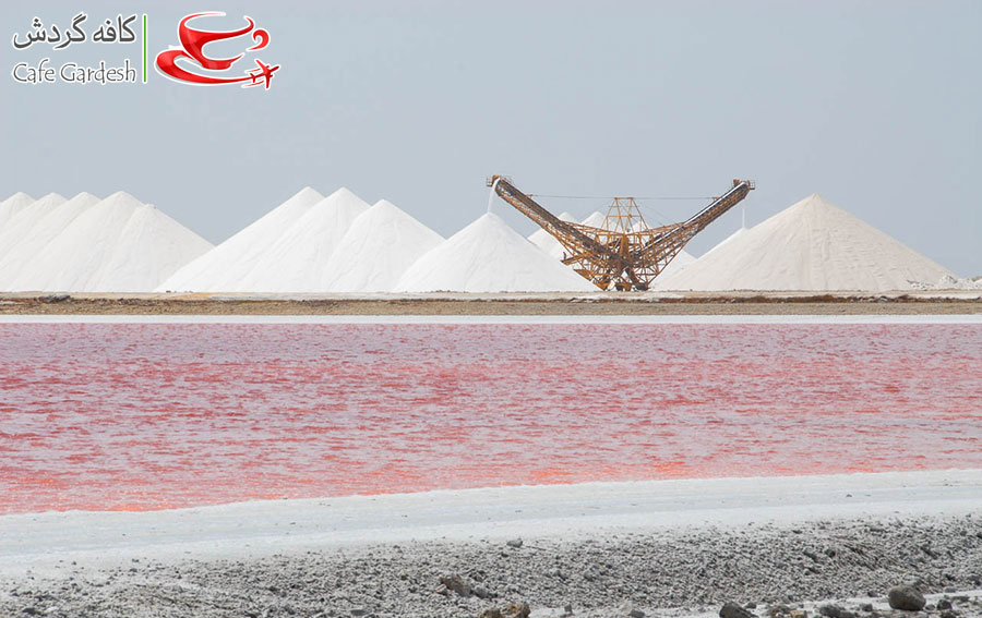 CafeGardesh_02_Bonaire_Pink_Beach_Dutch_Caribbean_Island011