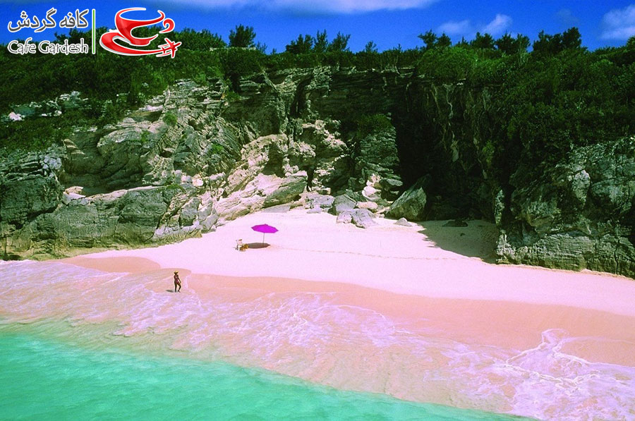 CafeGardesh_01_Pink_Beach_of_Harbor_Island_Bahamas02
