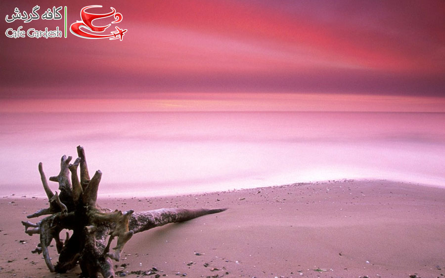 CafeGardesh_01_Pink_Beach_of_Harbor_Island_Bahamas01