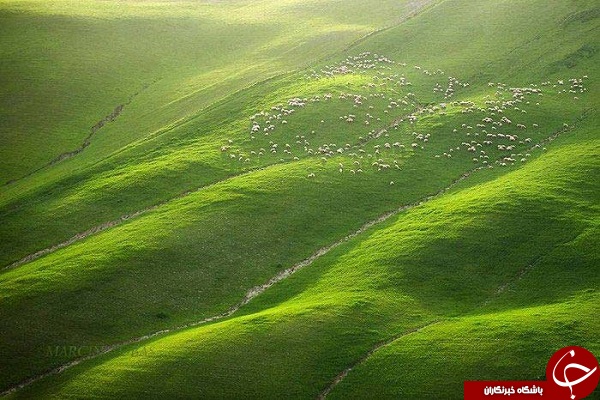 بهشتی به نام توسکانی + تصاویر