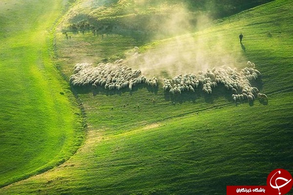 بهشتی به نام توسکانی + تصاویر