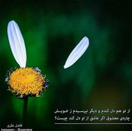 بهترین عکس نوشته های با معنا و عاشقانه