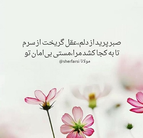 بهترین عکس نوشته های با معنا و عاشقانه