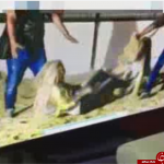 هنرمند زن مشهور لبنانی در چنگال شیر گرسنه +تصاویر