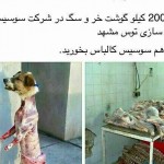 ۲۰۰۰ کیلو گوشت سگ تبدیل به سوسیس شد!؟+تصاویر