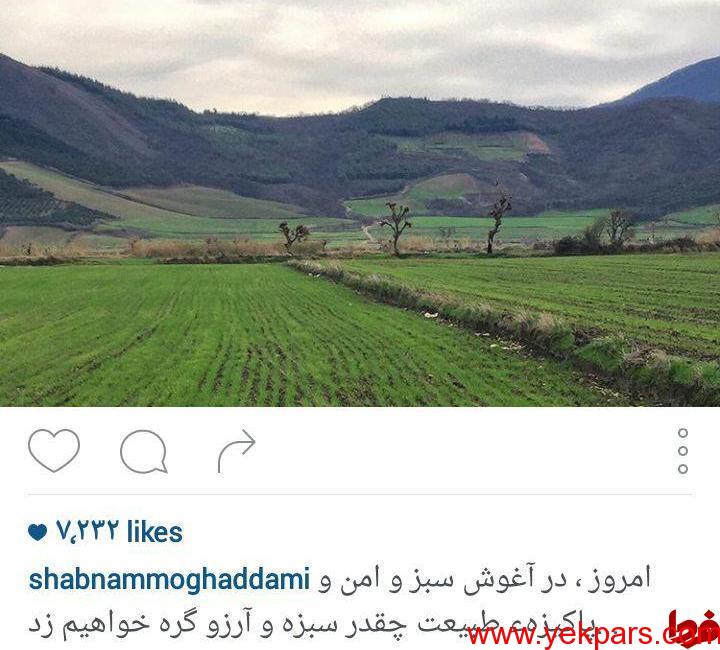 هنرمندان در روز طبیعت، کجا رفتند؟ +تصاویر هنرمندان در روز طبیعت، کجا رفتند؟ +تصاویر