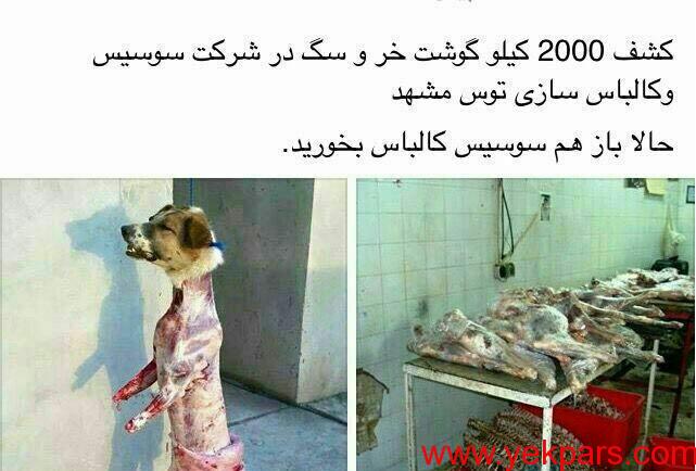 بالاخره 2000 کیلو گوشت سگ تبدیل به سوسیس شد؟+تصاویر بالاخره 2000 کیلو گوشت سگ تبدیل به سوسیس شد؟+تصاویر