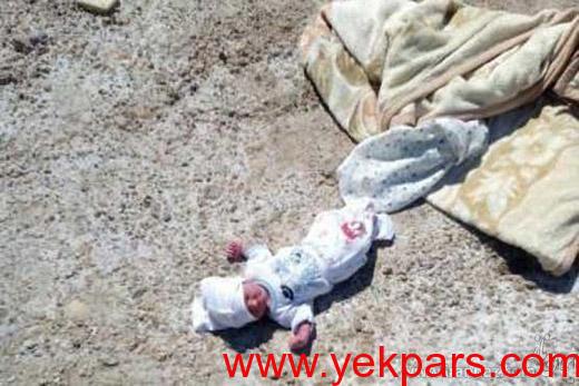 اگر دل دیدن این عکس ها را نداری کلیک نکن