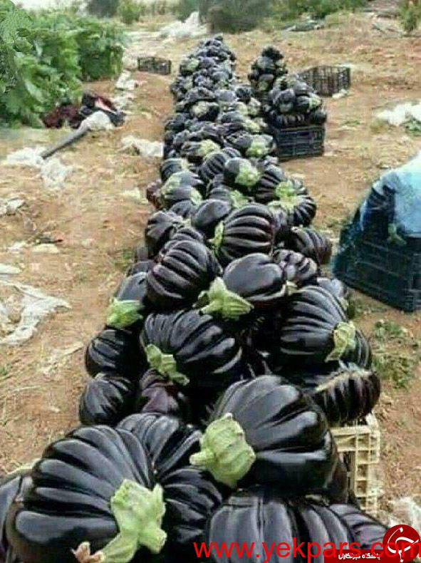 معبدی زیبا در تایلند/