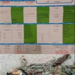 فیش حقوقی شهید مدافع حرم +عكس