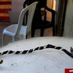 بردگی جنسی دهها زن سوری در خانهای ساحلی در لبنان+عکس