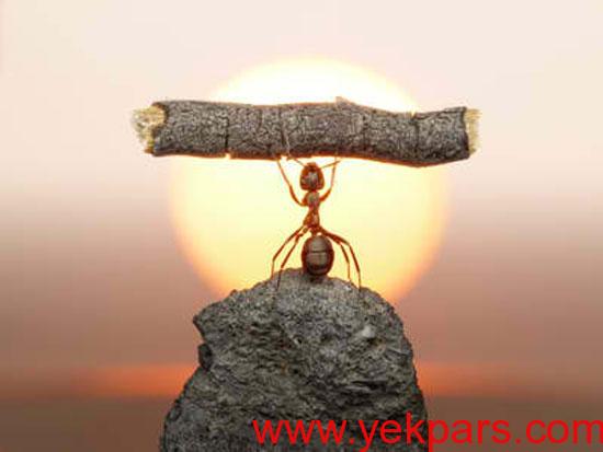  اگر در حال حاضر روحیه خوبی ندارید بهتر است این مطلب را بخوانید!