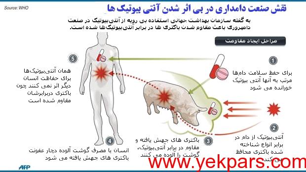 خطرات آنتی بیوتیک در مواد غذایی جدی گرفته شود!