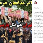 آنا نعمتی را مدافعانِ مدافعان حرم ستایش کردند+عكس