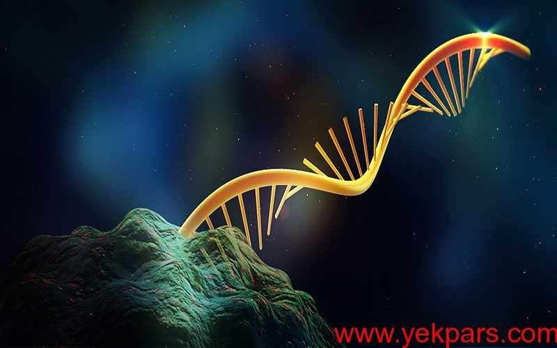 RNA-2