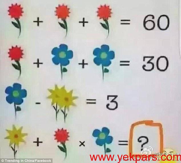 Can you solve this? A maths puzzle that replaces numbers with flowers has created controversy on Facebook
