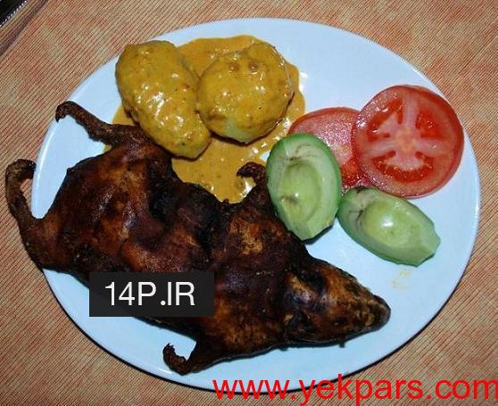 خوکچه_هندی_3