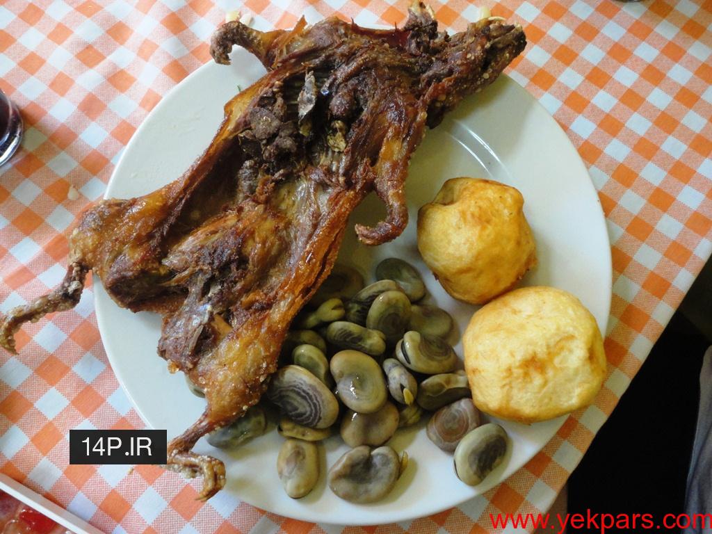 خوکچه_هندی_4