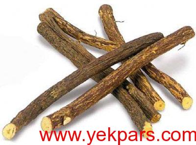 خاصیت گیاه شیرین‌بیان,گیاه شیرین‌بیان