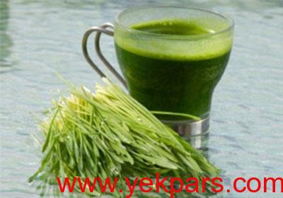خواص جلبک سبز دریایی, جلبک دریایی برای پوست