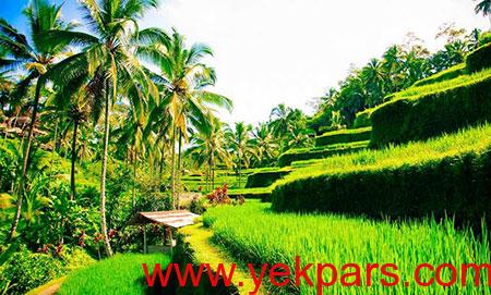 جاهای دیدنی اندونزی, مکانهای تفریحی اندونزی,