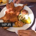 خوکچه هندی غذای مورد علاقه اهالی کشور پرو و اکوادور