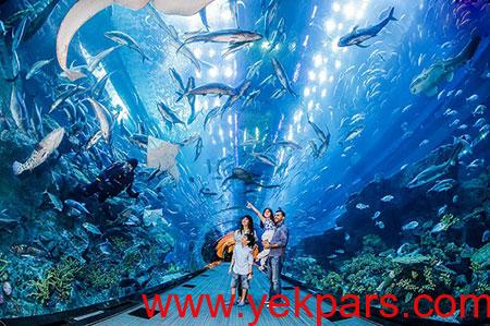 عکس های آکواریوم دبی مال,بلیط آکواریوم دبی