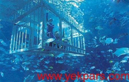 آکواریوم دبی,آکواریوم دبی مال