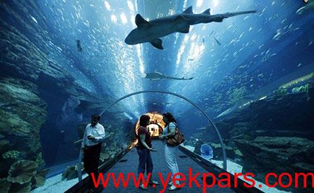 عکس های آکواریوم دبی مال,بلیط آکواریوم دبی