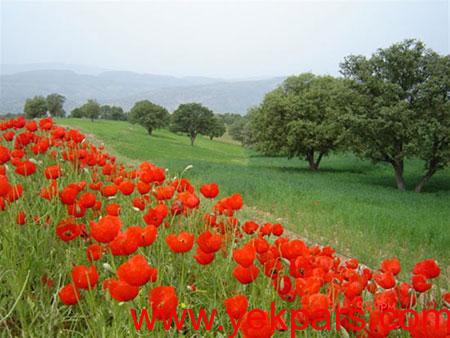 كهگیلويه و بويراحمد‌‌‌‌,جاهای دیدنی كهگیلويه و بويراحمد‌‌‌‌