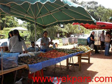 گردشگری,تور گردشگری