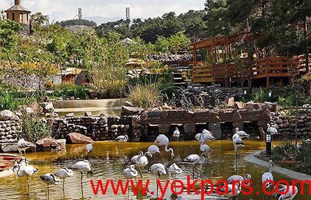 جاهای دیدنی ایران در تابستان,دیدنی های ایران در تابستان