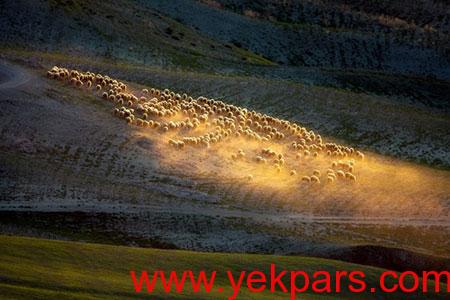 توسکانی,جاذبه های گردشگری توسکانی