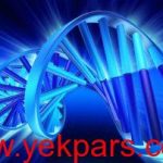 مایکروسافت و ذخیره اطلاعات برروی DNA