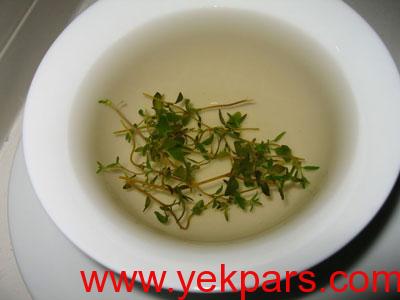 خواص آویشن شیرازی,چای آویشن,خواص چای آویشن