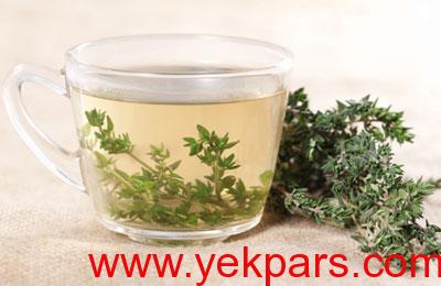 آویشن,خواص آویشن,آویشن کوهی