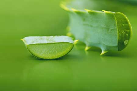 خواص آلوورا, خواص گیاه آلوورا