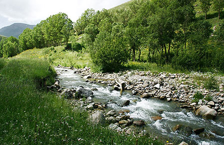 تصاویر روستای لیقوان,روستای لیقوان کجاست